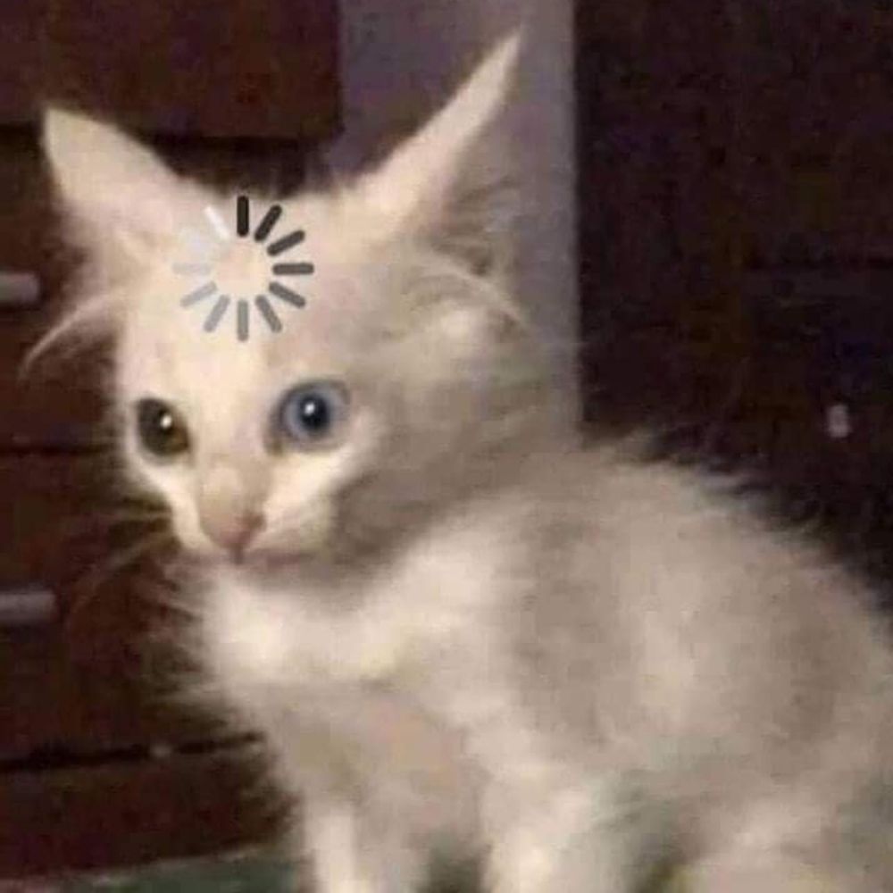 hiiiiiiiiiiiii