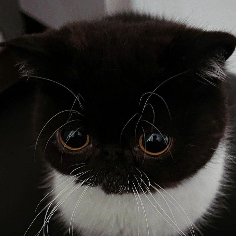 ໊