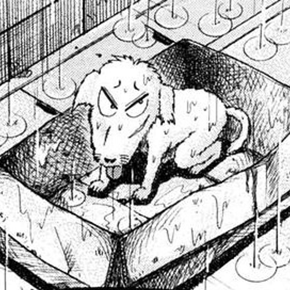 Fernabo