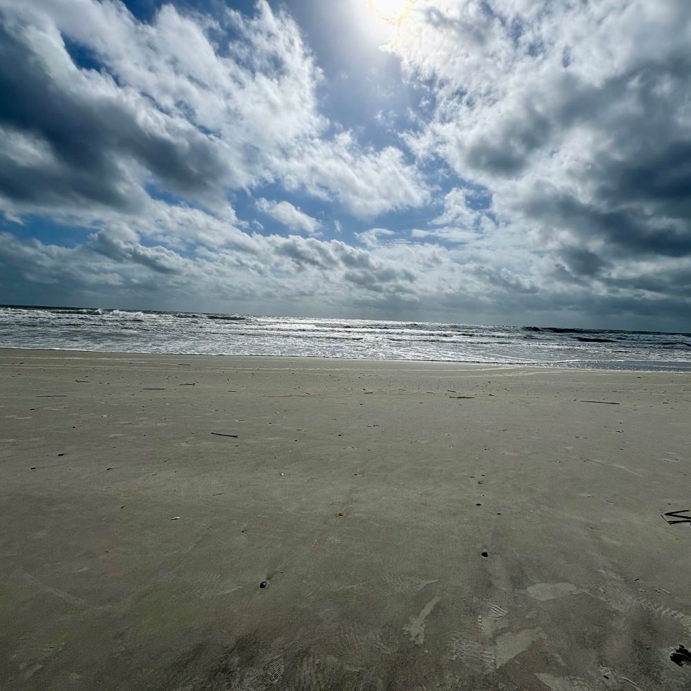 shannon-lindsey.bsky.social