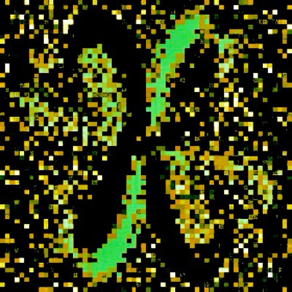 RandomProgrammer