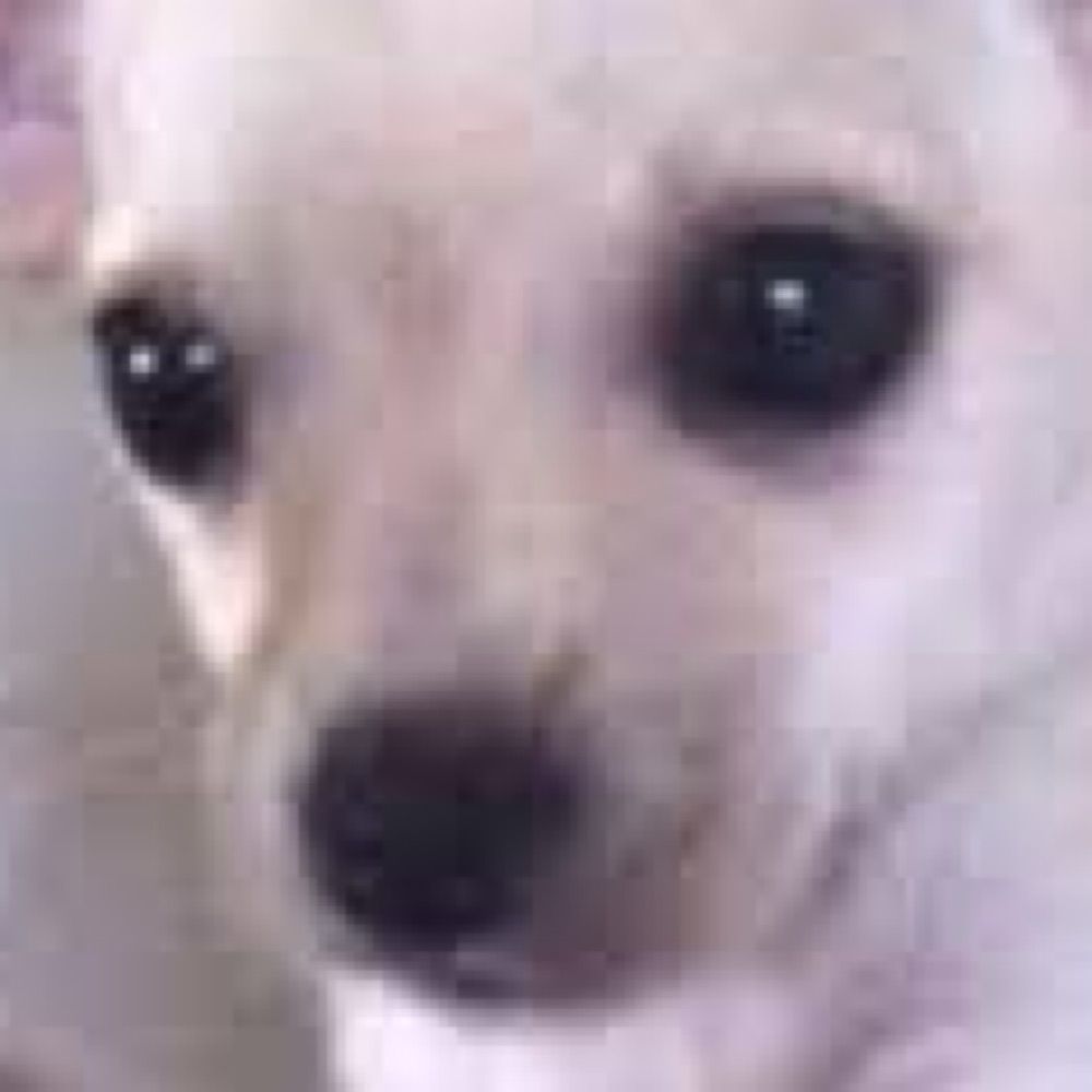 와와치