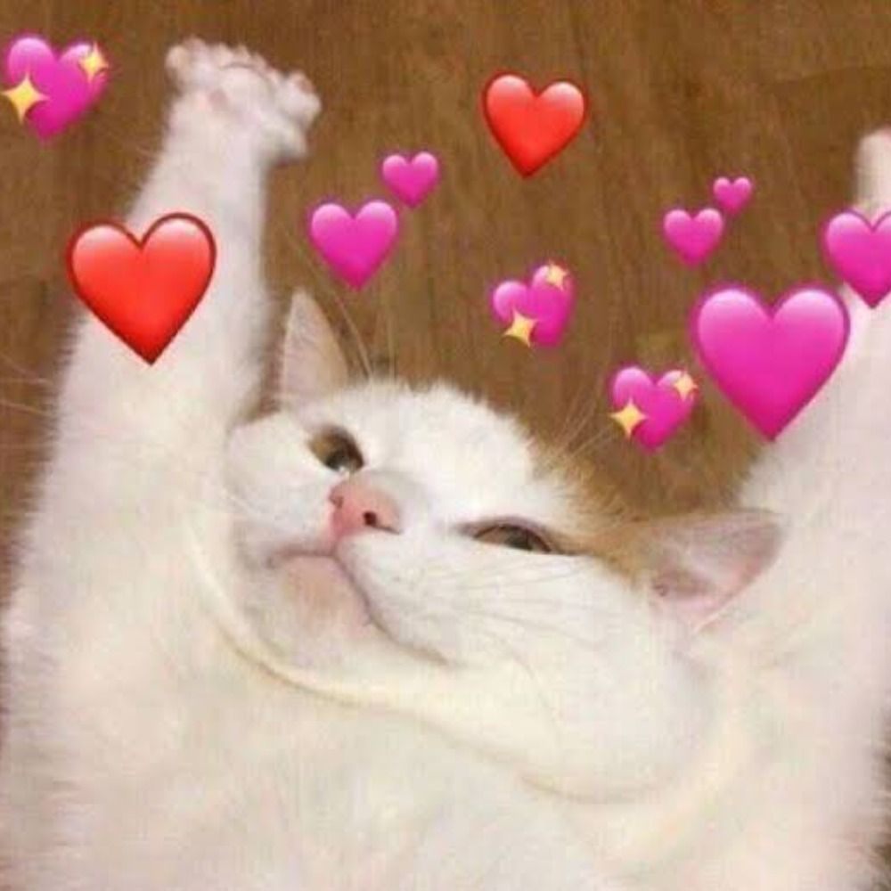 Bella 💞COMISSÕES FECHADAS💞