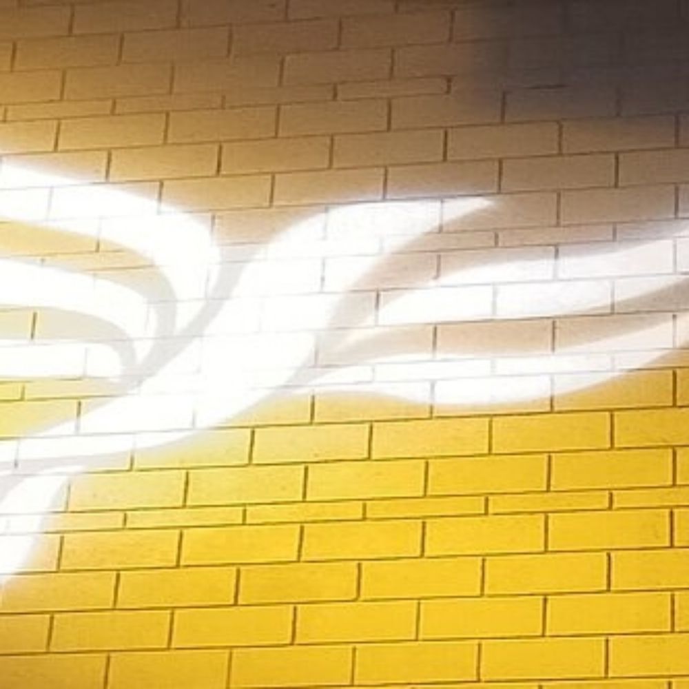 North Staffs Liberal Democrats