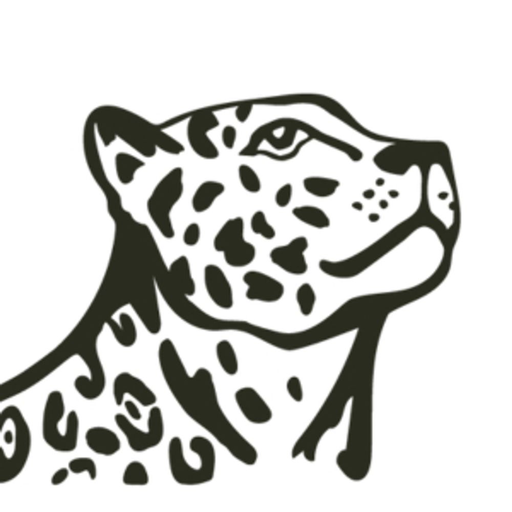 Rewilding Institute