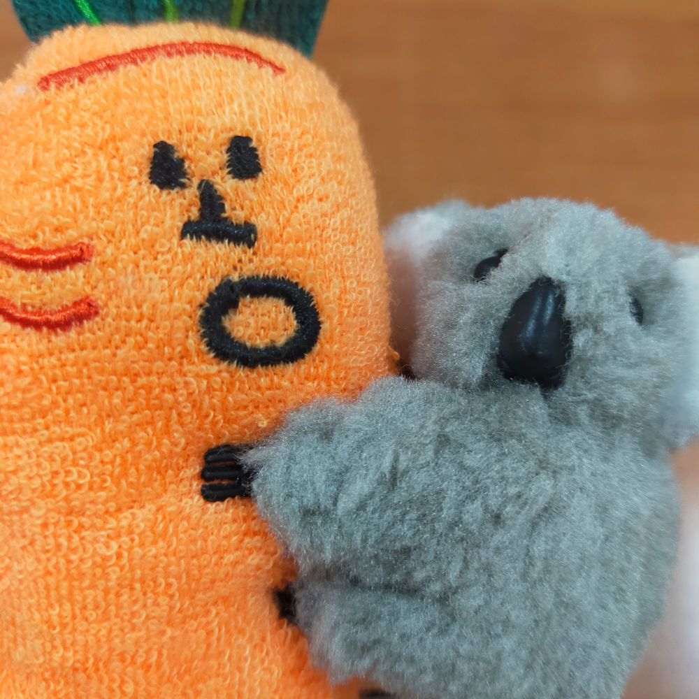 Ne Ko