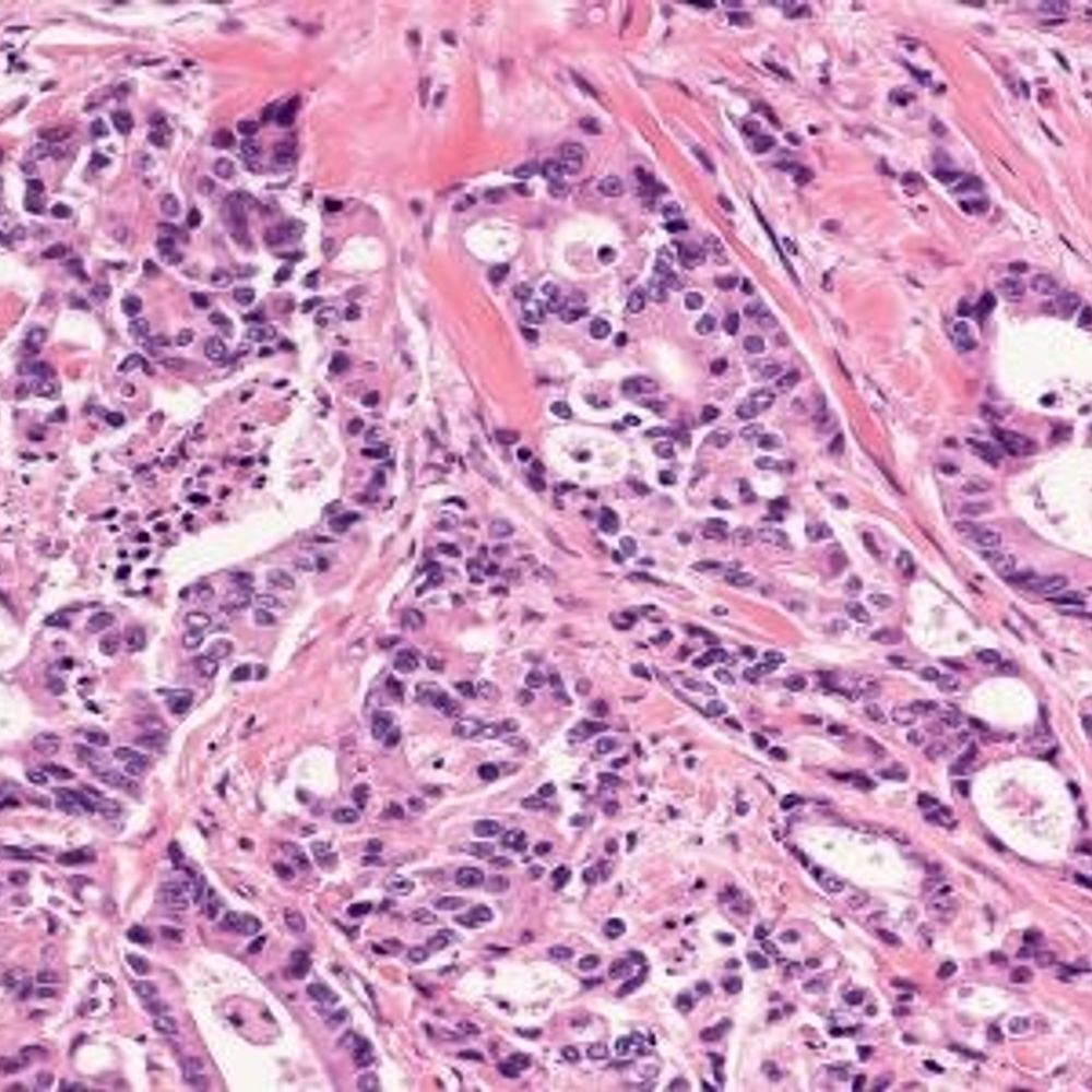 School of Cancer Sciences