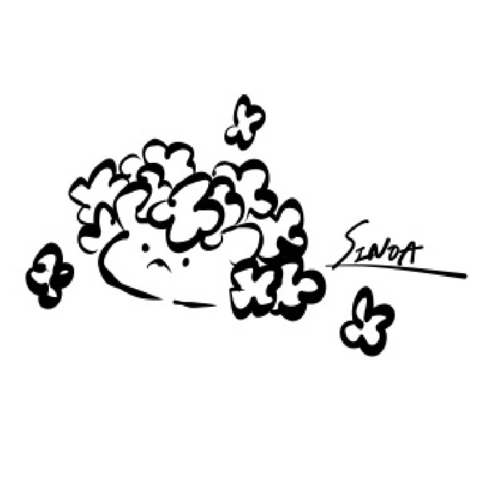 シノア