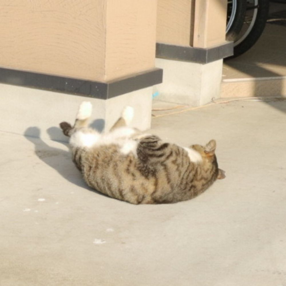 み缶
