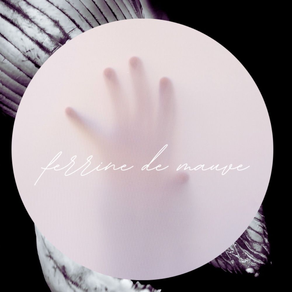 ferrine de mauve
