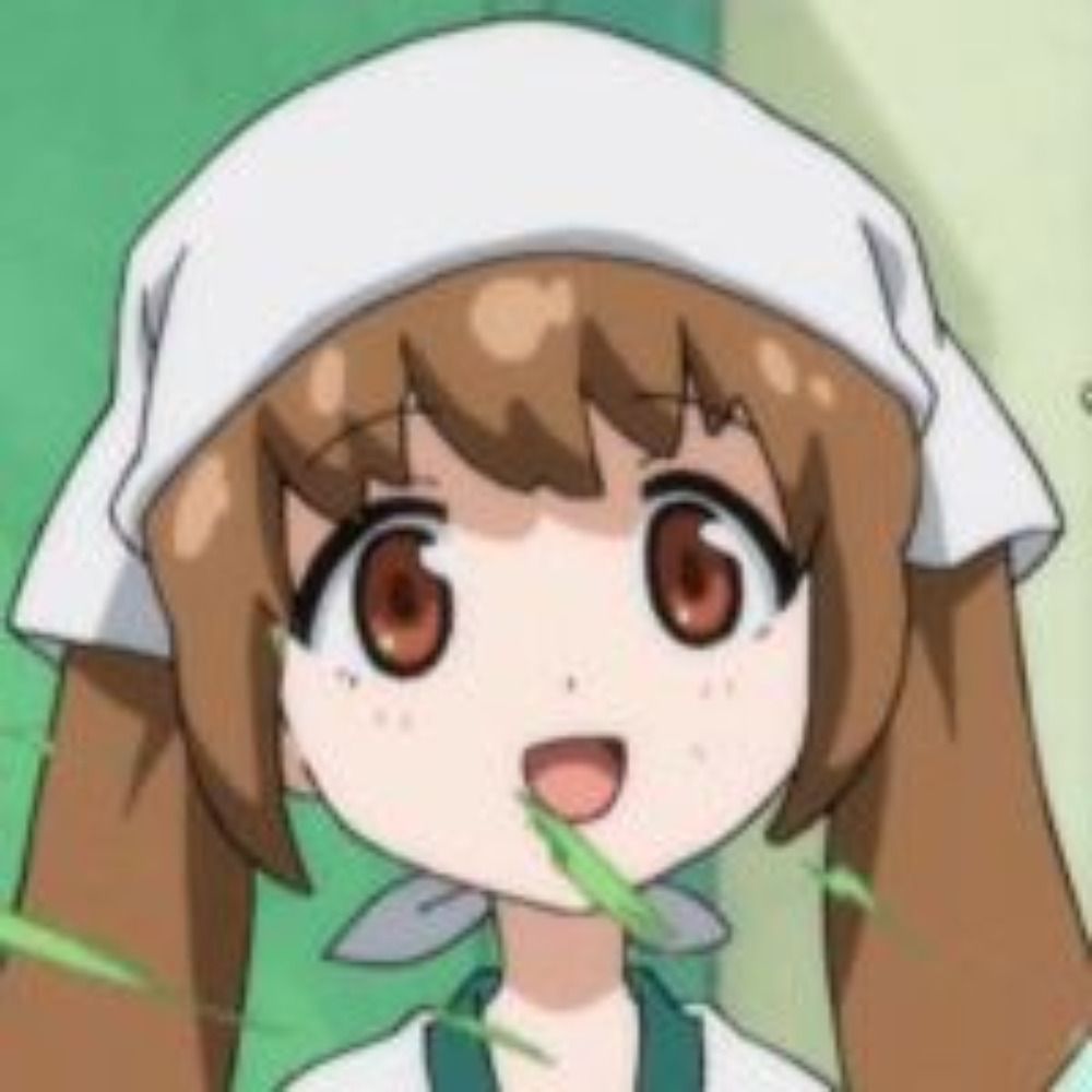 46252