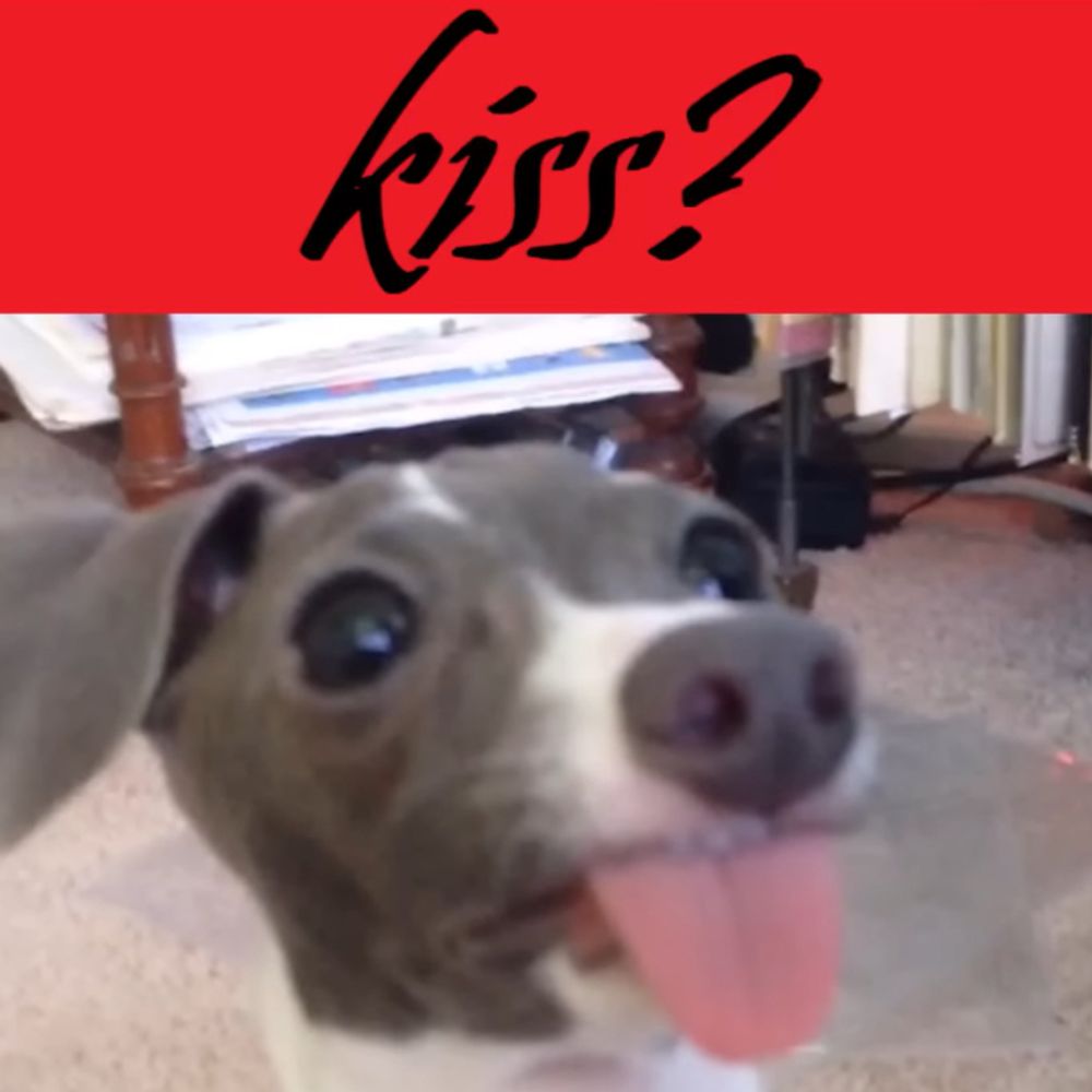 🔞🔞🔞
