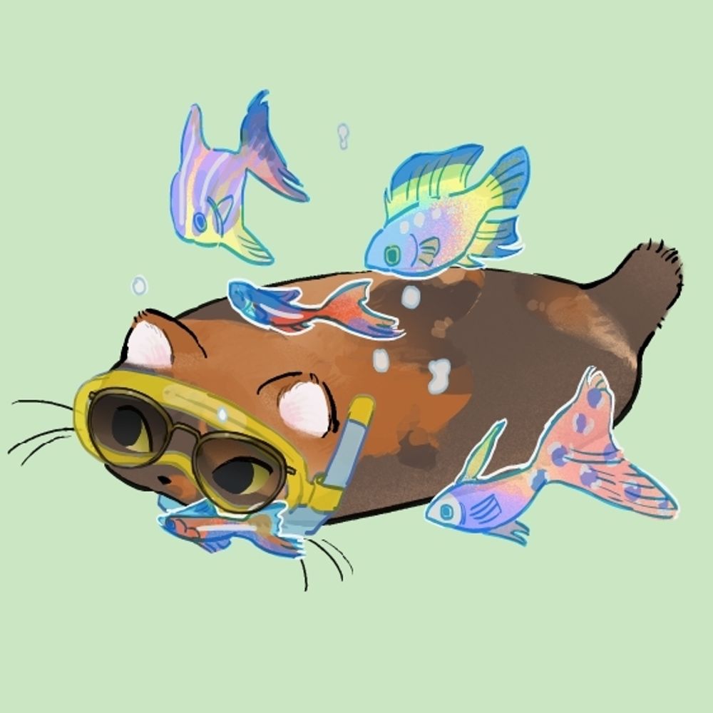 novmakol.bsky.social