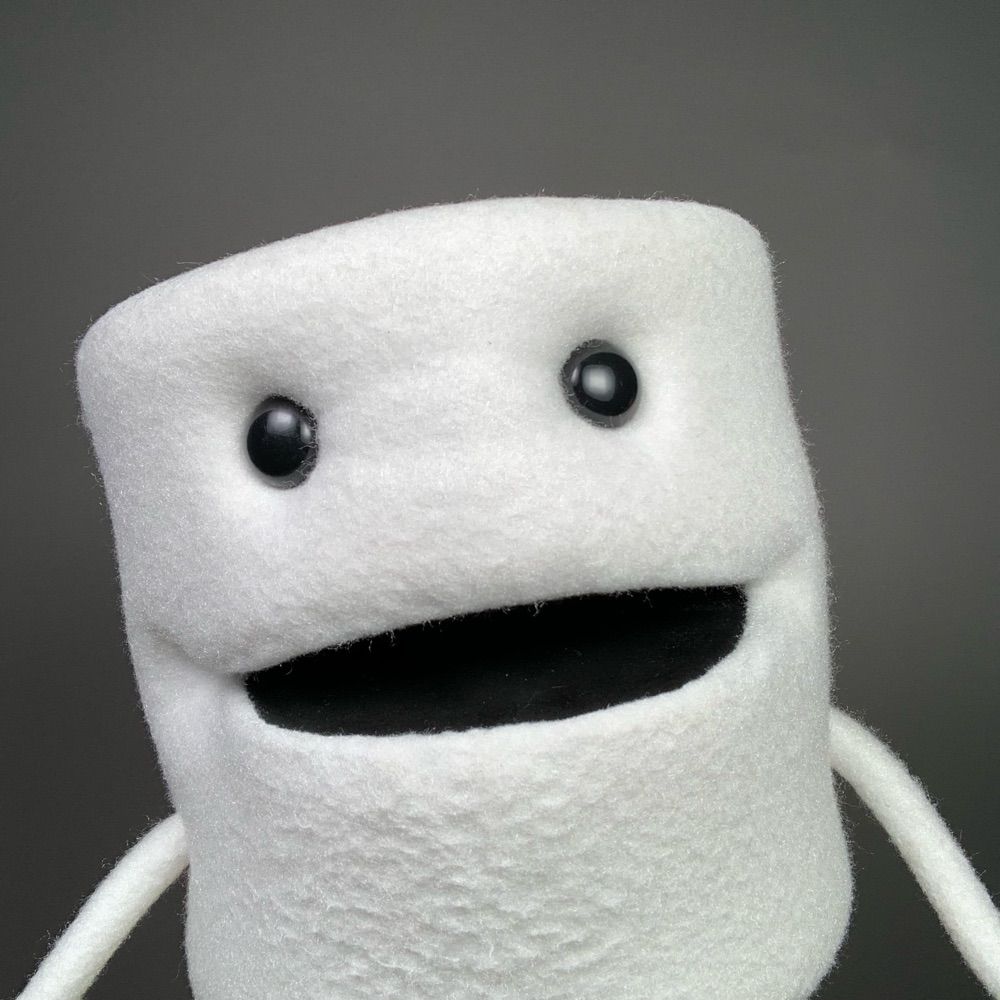 Toiley T. Paper