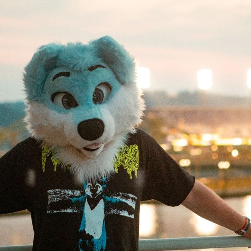 Névi Puppy