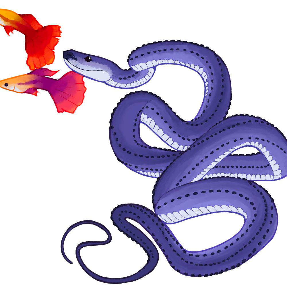 Reptilia Crafts