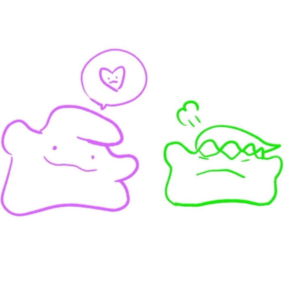 쬬쬬