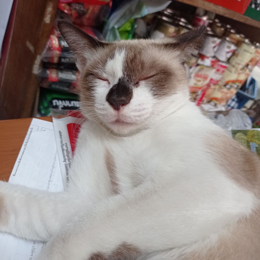 LaZyphie._.