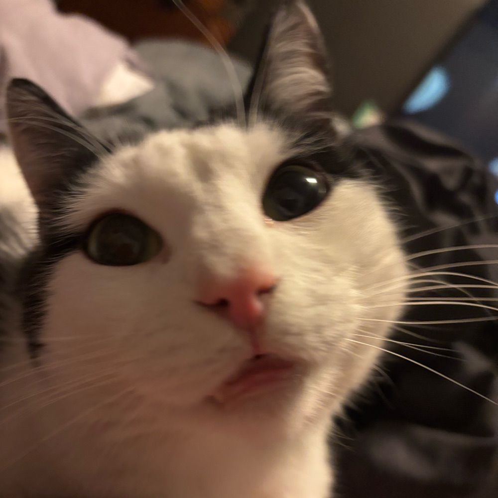 charlie
