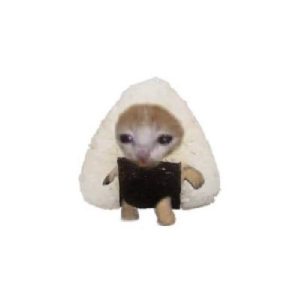 🍙