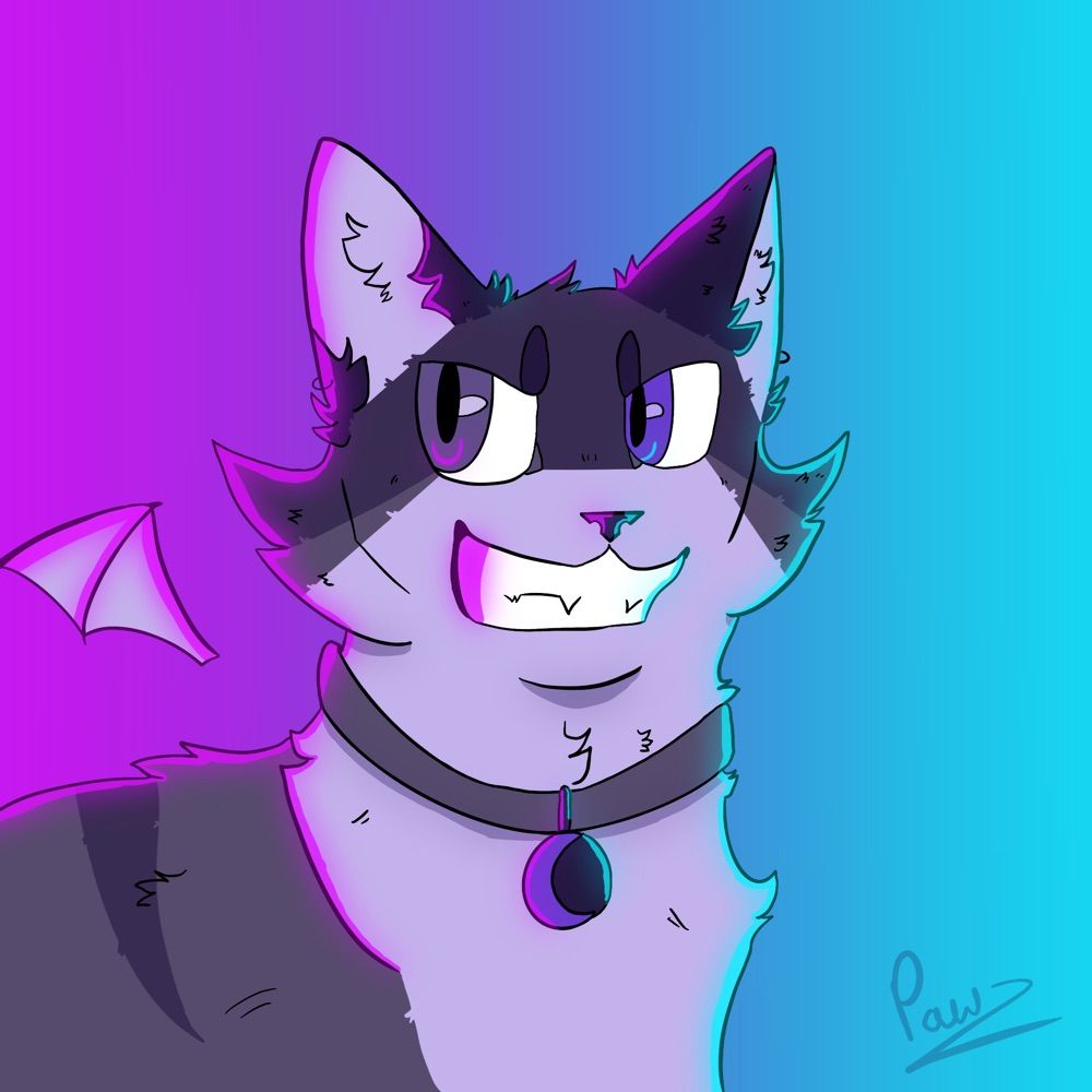 Pawz