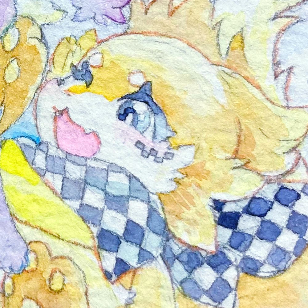 SpeedBuiz 🟠 to Bui or not~