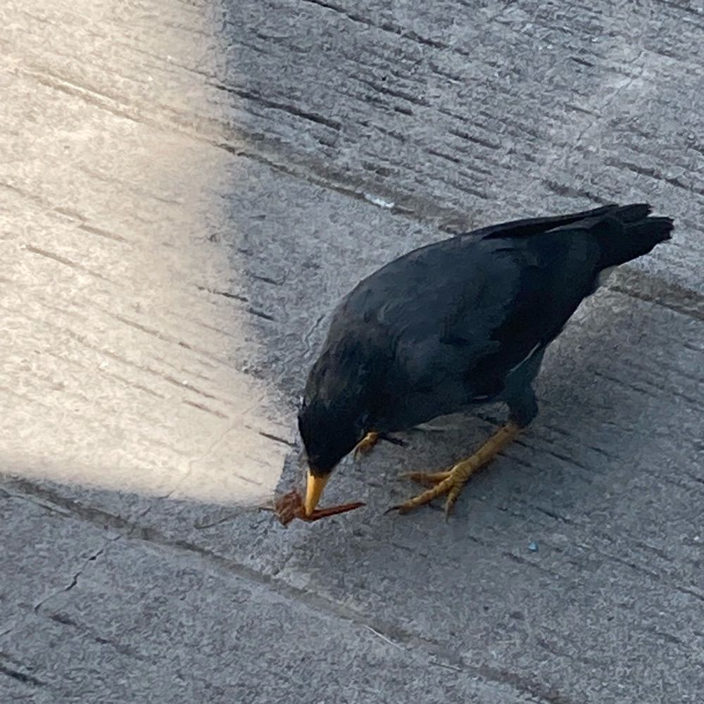 名大ぬぬぬ