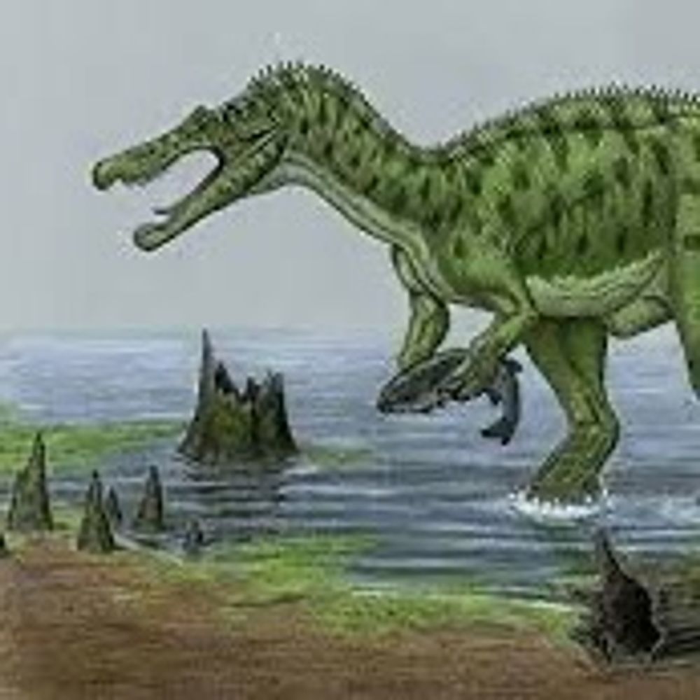 Baryonyx_walkeri