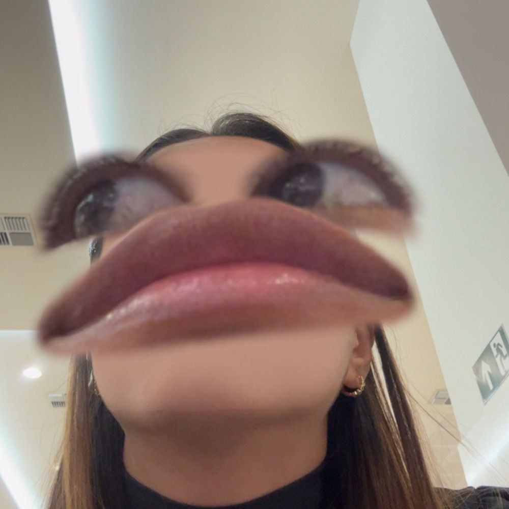 Camillota
