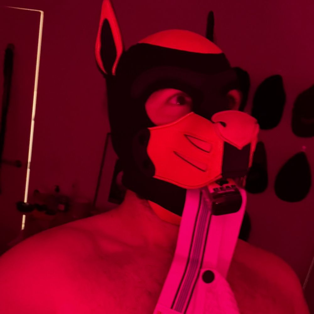 Pup chomp