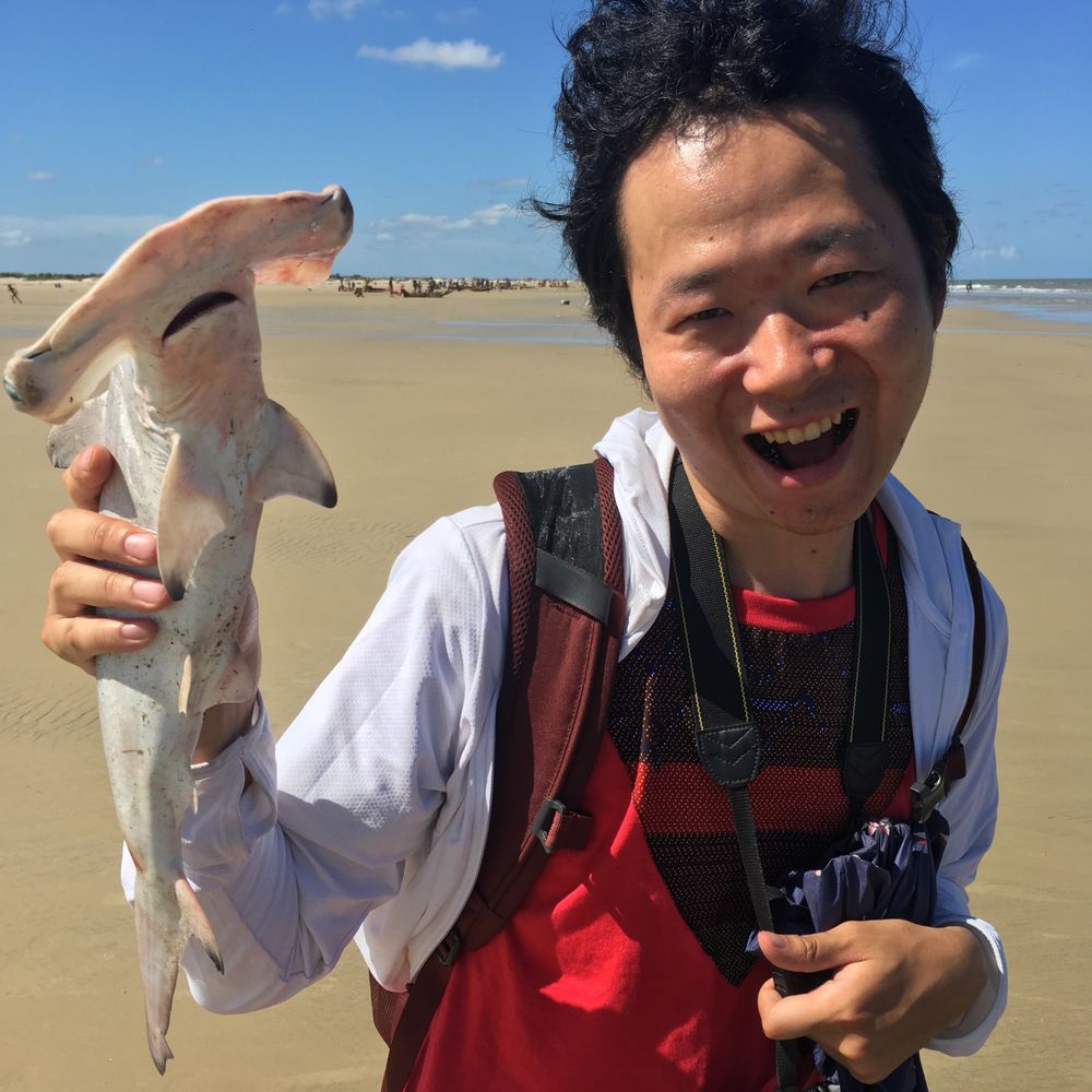 平田朋義