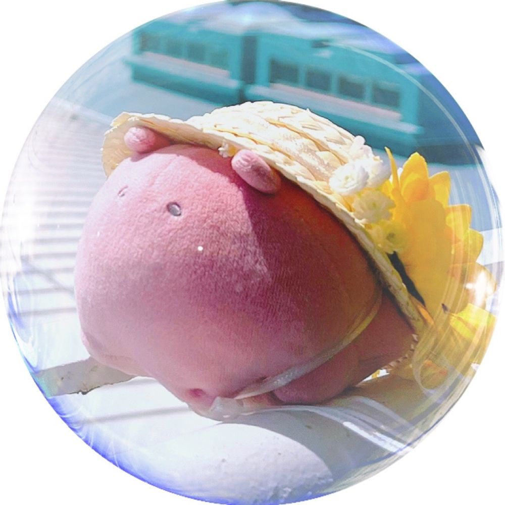 ほむらさん