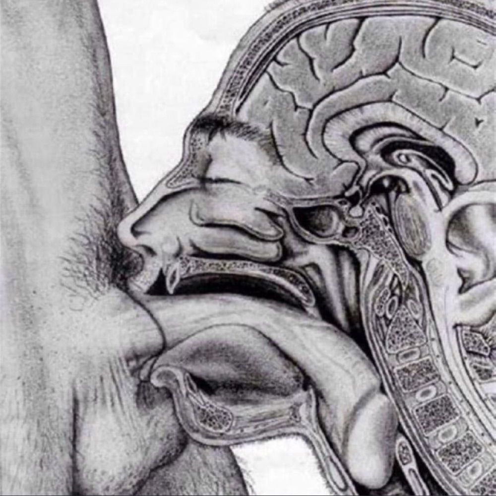 Dude Loves 2 Swallow