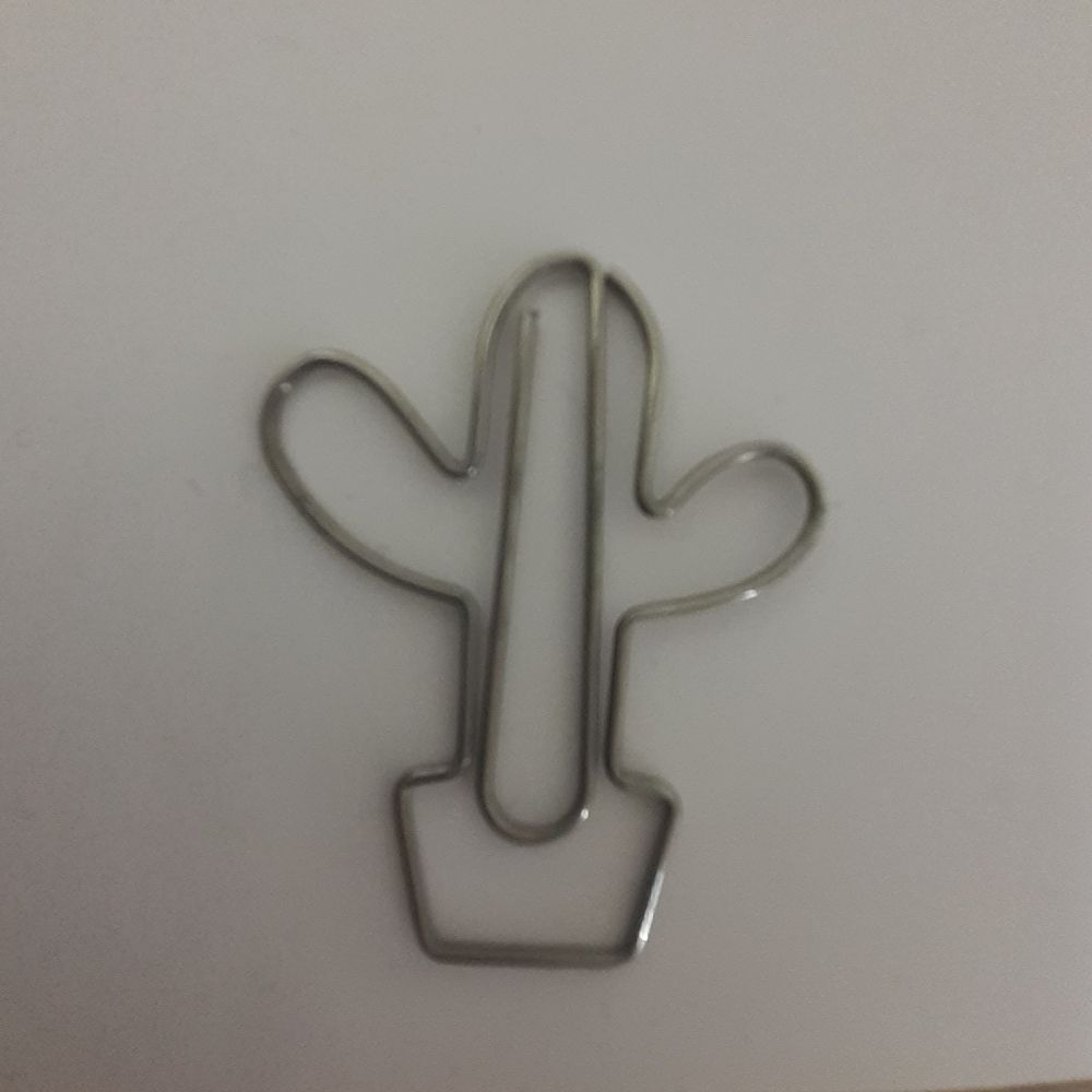 サボテン🌵