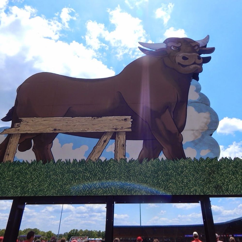 The Snorting Bull