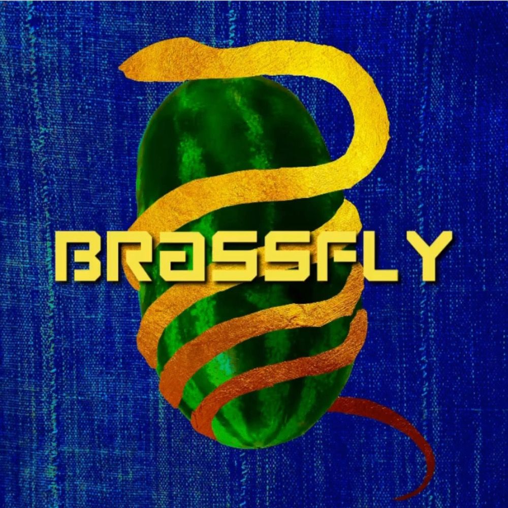 Brassfly Studio