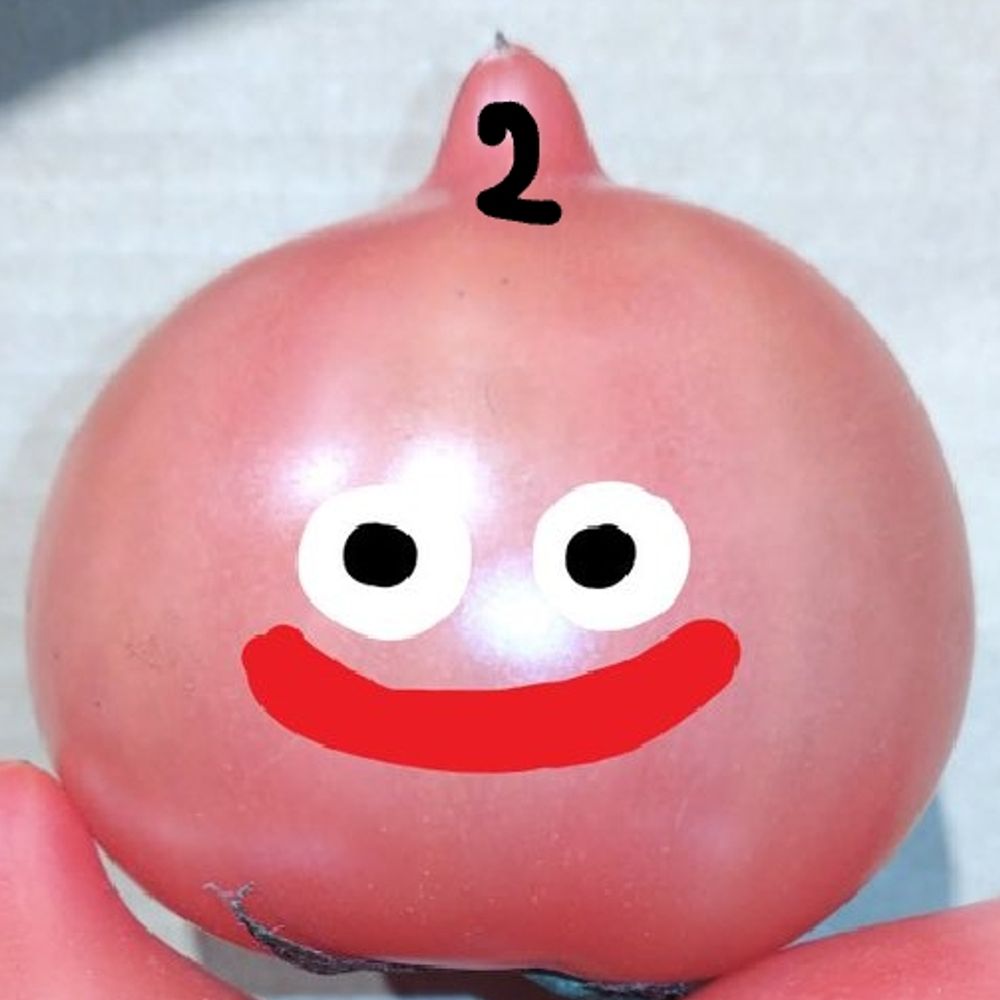 真紅のトマト🍅（プロフ必読）