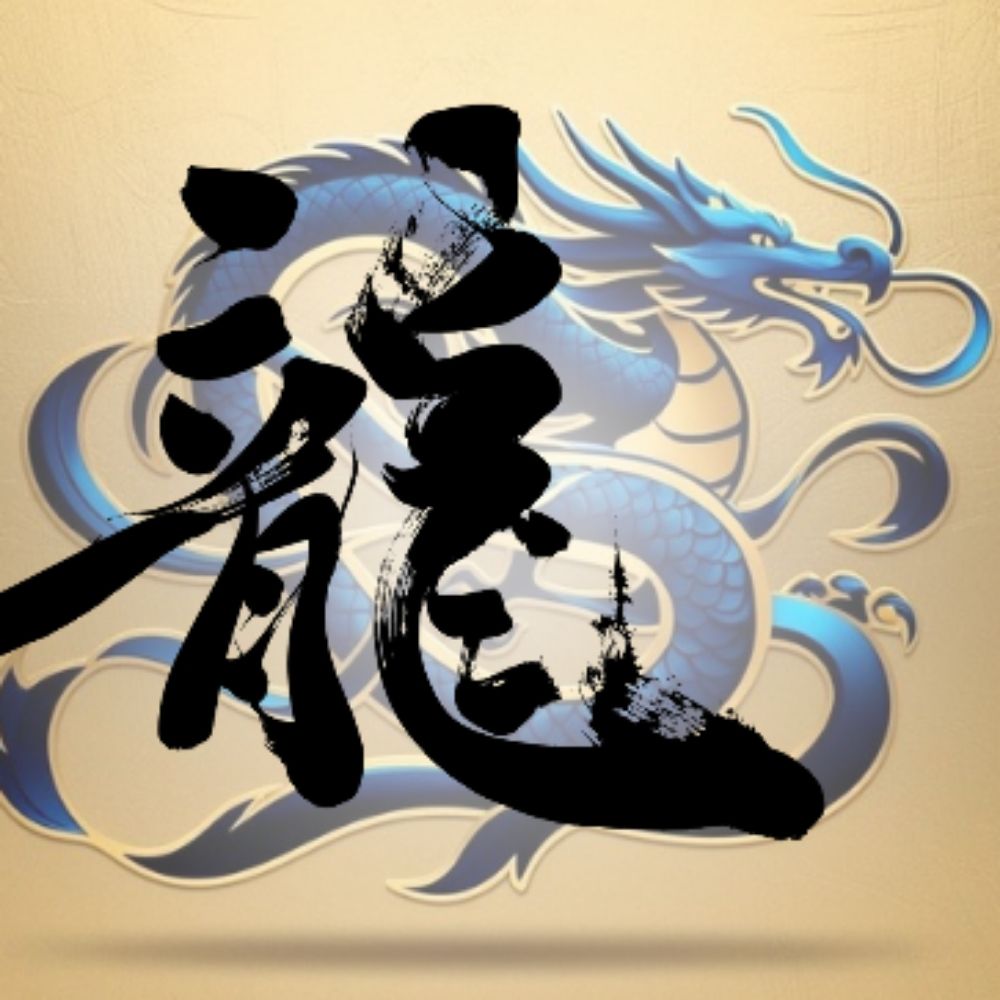 龍　【ビデオカメラマン】