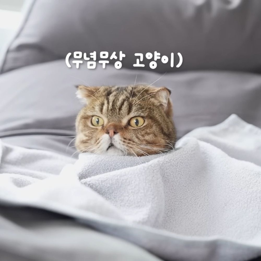 행인3