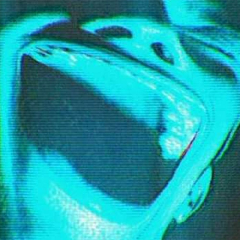 {ɔːɡˈmɛntɪd//sa.ɡwɛ̃}