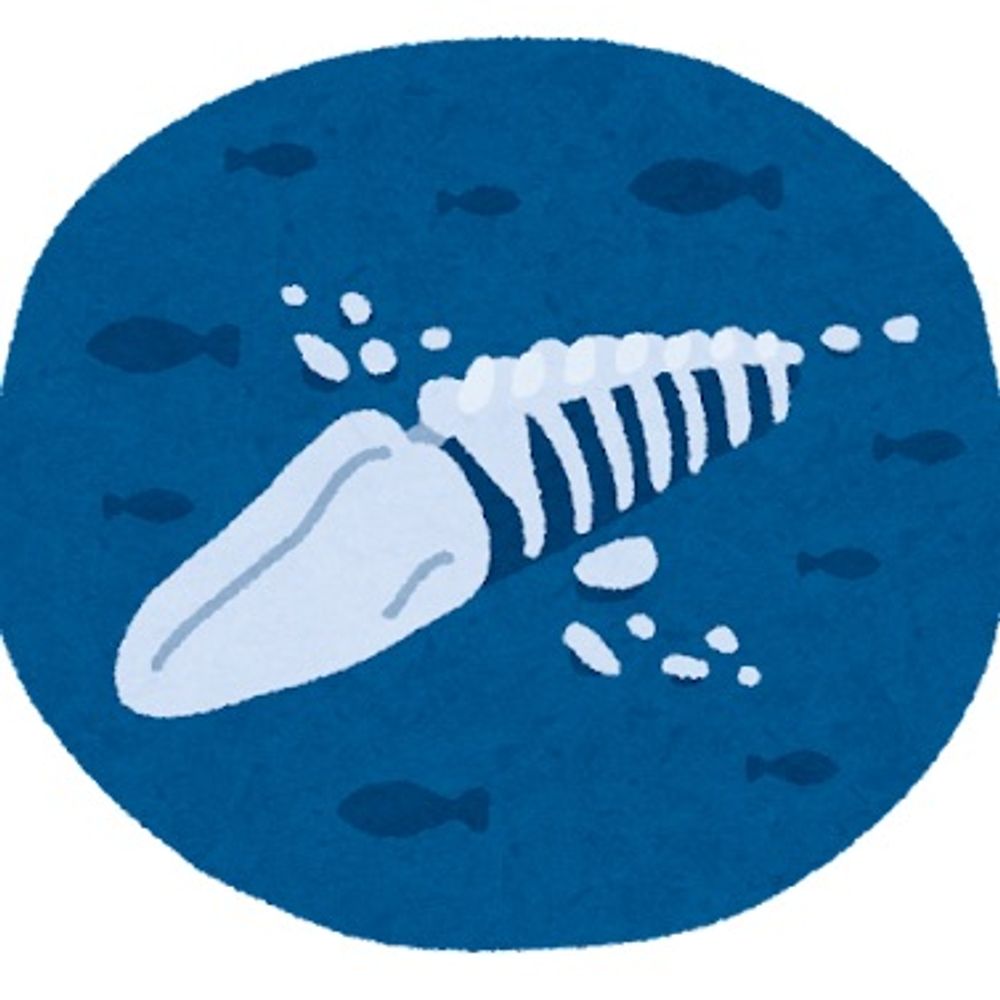 あじ🐟