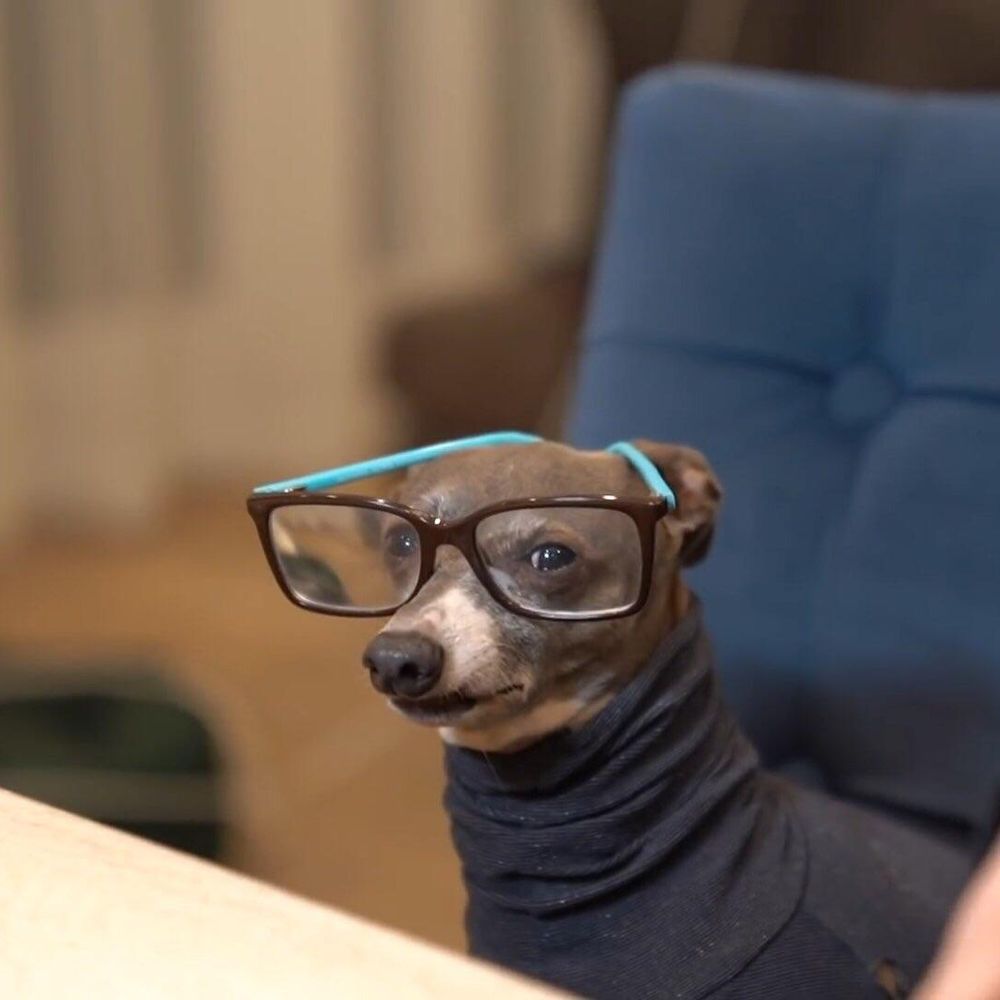 pencilk9