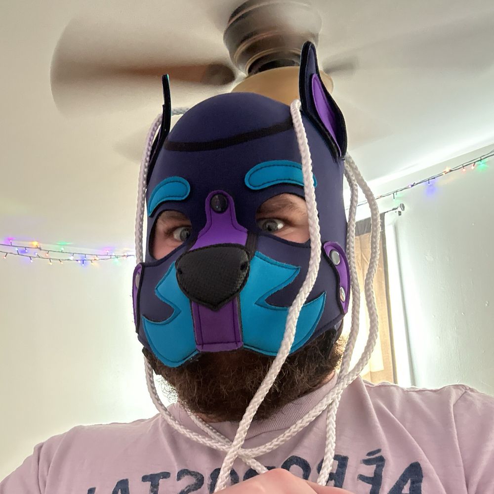 🌀🐶Pup Chaos🐶🌀