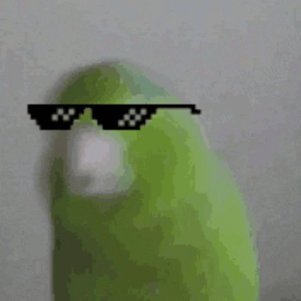 Birb