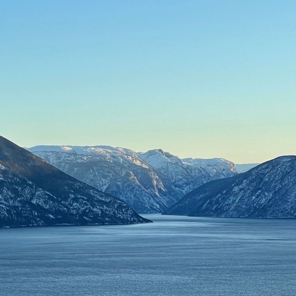 Vestlandsforsking