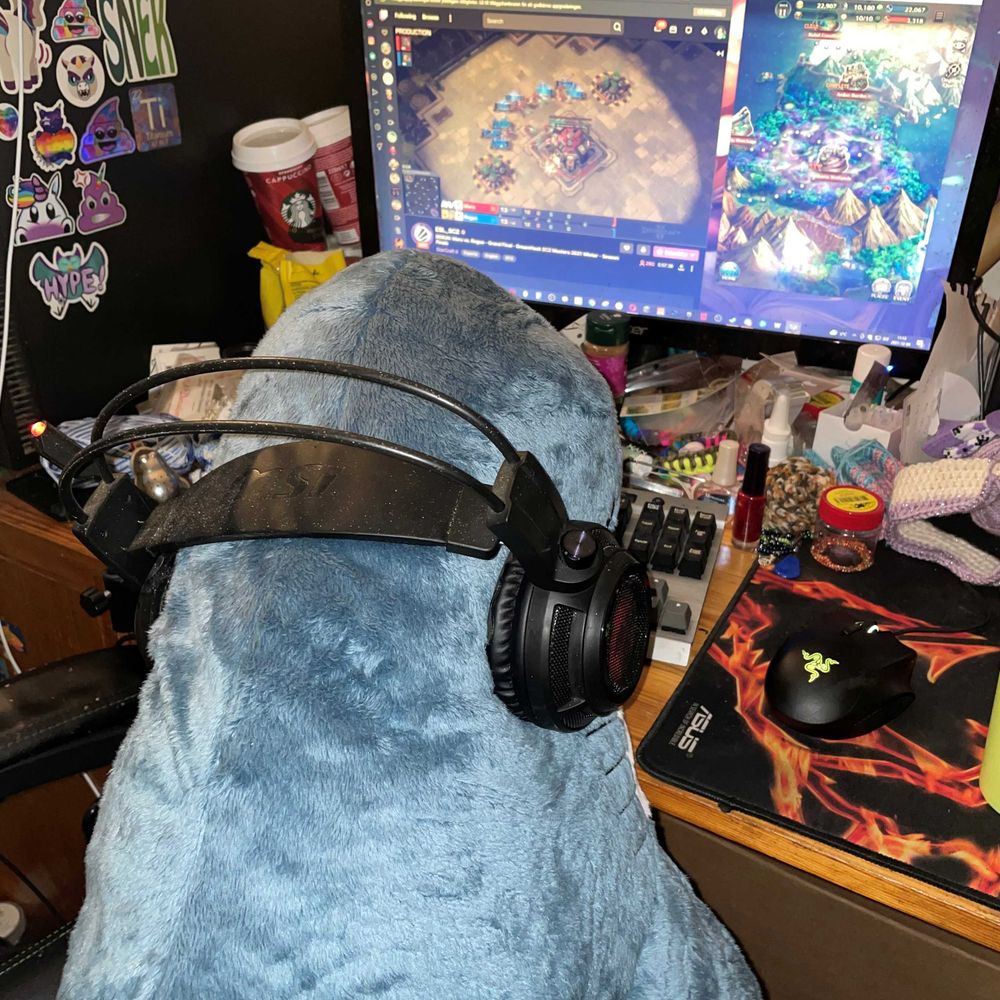 Rayne Stormfur