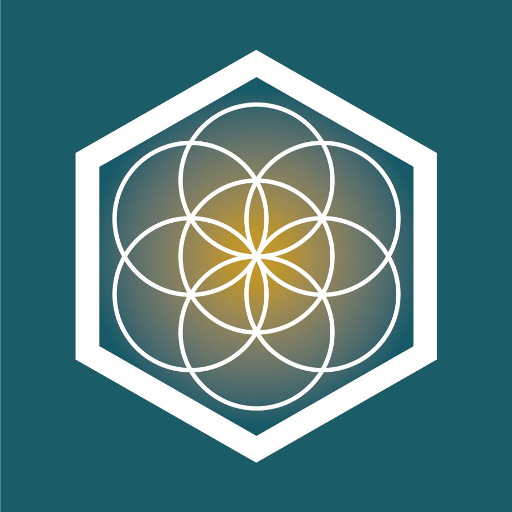Divine Spark Family Wellness