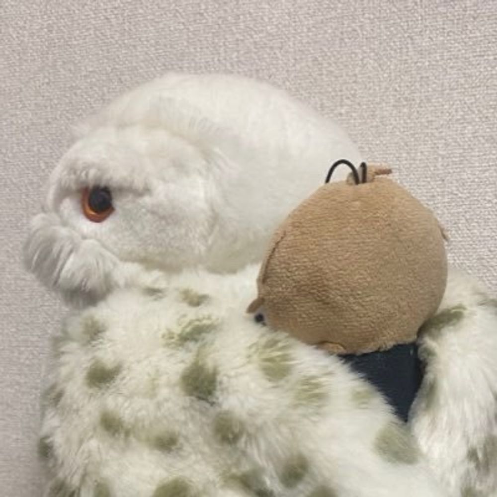 おれお