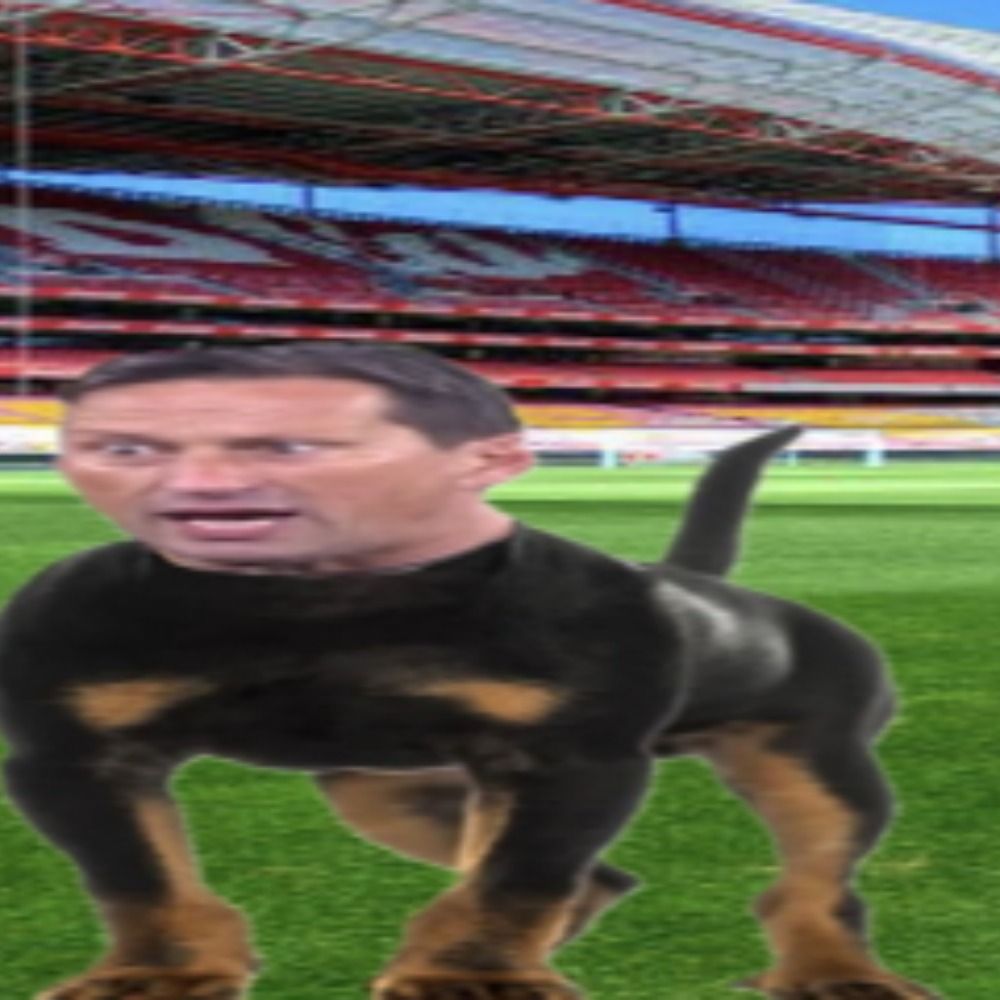 Vermes