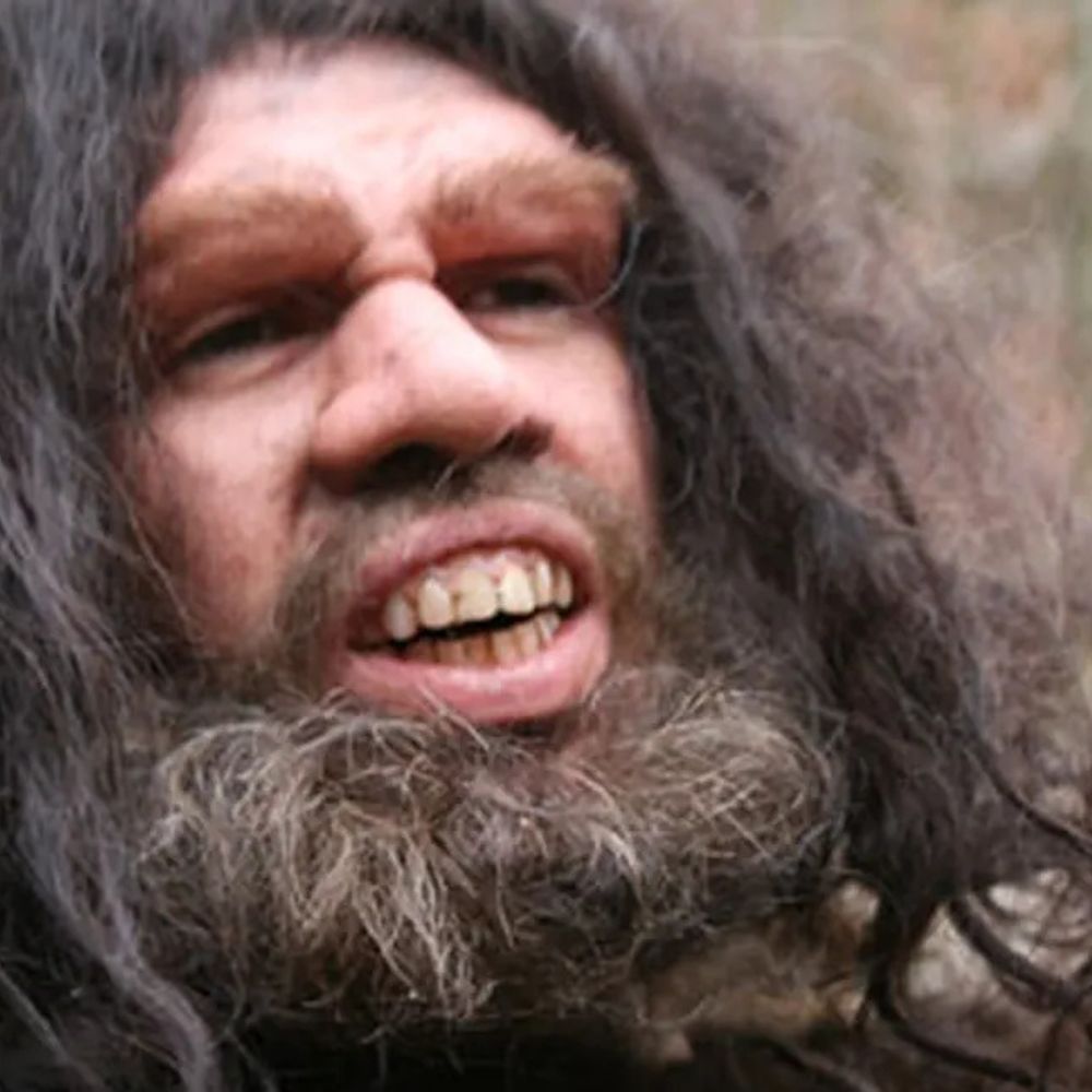 Neanderthal News